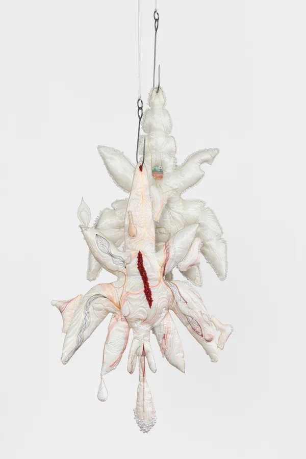 Manuel Brandazza, Yara, 2025