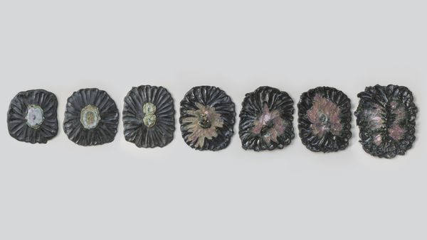 Anália Moraes, Eco celular, 2024