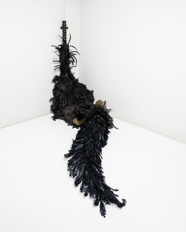 Zé Carlos Garcia, Bird, 2010