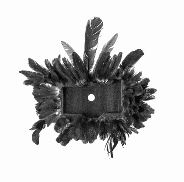 Zé Carlos Garcia, Cocar, 2019