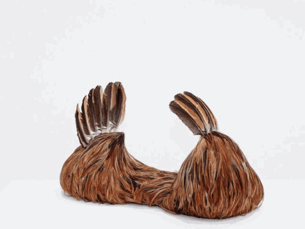 Zé Carlos Garcia at Sesc Belenzinho, SP