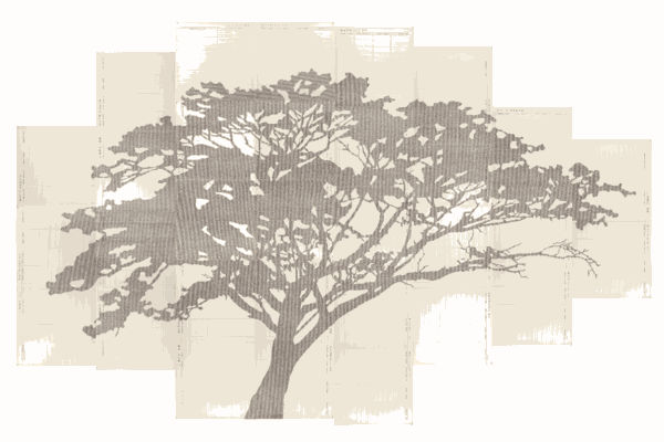 Johanna Calle at Museum Galleria National de Arte Moderna y Contemporânea, Rome