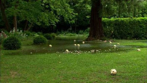 Douglas Gordon at IMS, Sao Paulo