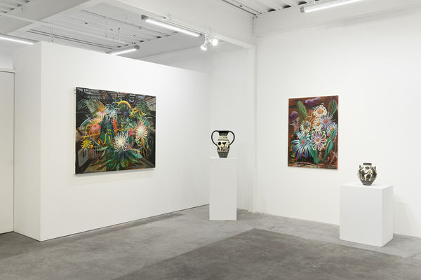 Ehg240611 Install 36