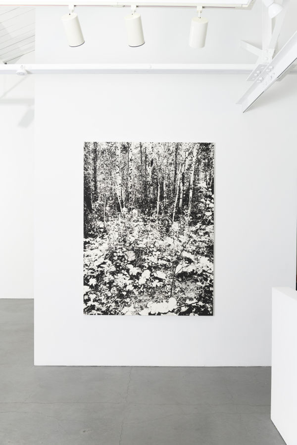 James Chronister Installation 25