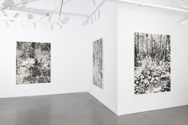 James Chronister Installation 27