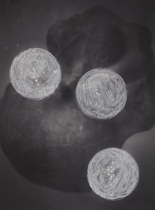 WHITENESS ETHNOGRAPHY [hippo head from north]