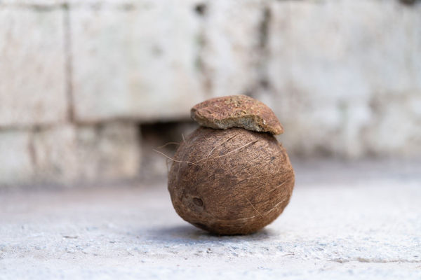 Untitled [LUZIA REMEMBER, the world is inside]