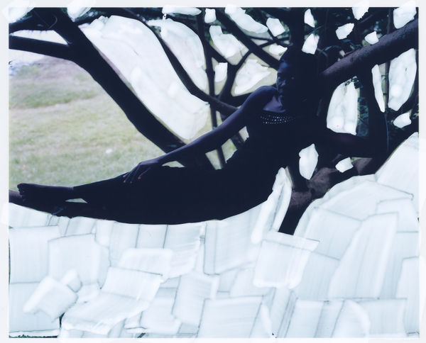 Spring of the Nile 2006 /paint study