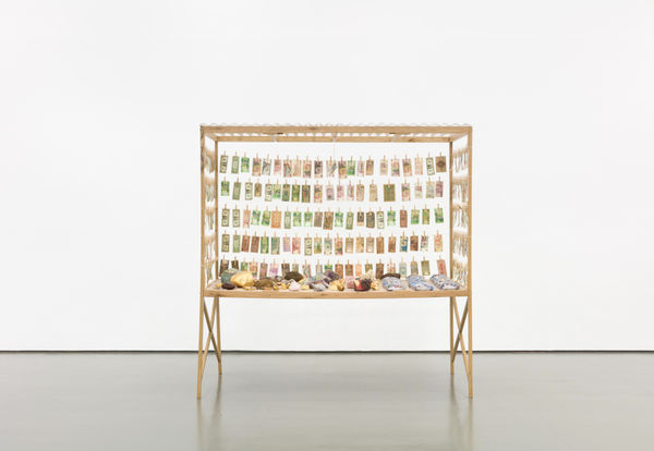 Bank or Economy: Transparent Economy