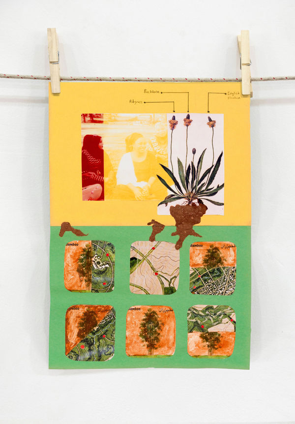 They sat near the bamboo trees, A Walk series