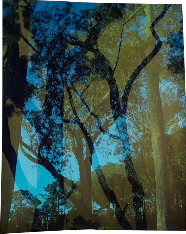 John Chiara Carolina: Traverse: John F. Kennedy, 2022 Camera Obscura Ilfochrome Photograph, Unique 56 x 47 inches, framed