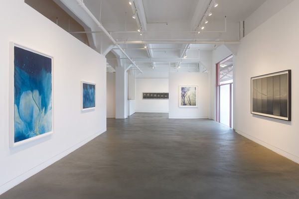 Elemental II: Photography and the Hand of Nature