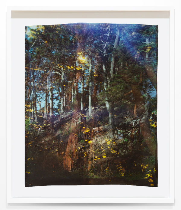 JOHN CHIARA Avenue H: Traverse: Strawberry Hill, 2023 Camera Obscura Ilfochrome Photograph, Unique 57.25 x 47.75 inches, framed SOLD