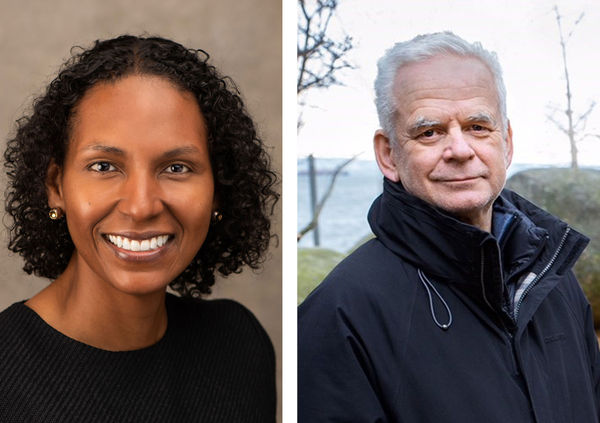 Andy Goldsworthy Artist Talk