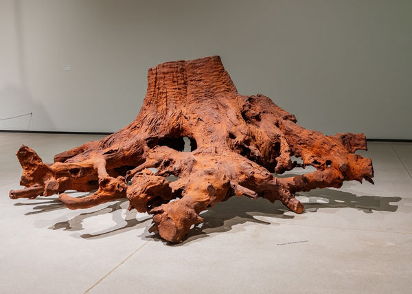 Ai Weiwei, Iron Root, 2015