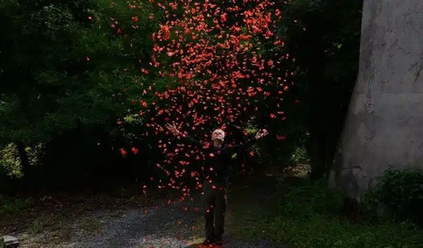 Andy Goldsworthy Solo Exhibition