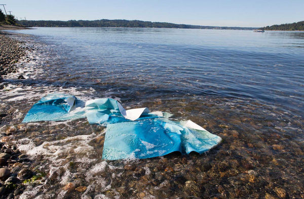 Meghann Riepenhoff Artist News