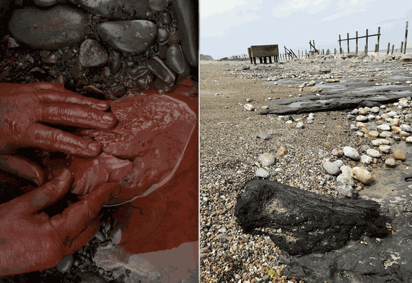 Andy Goldsworthy and David Nash Traveling Exhibition