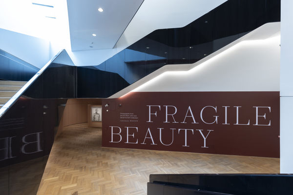 Installation view of Fragile Beauty: Photographs from the Sir Elton John and David Furnish Collection, May 18, 2024 - January 5, 2025 at Victoria and Albert Museum, London, UK.
