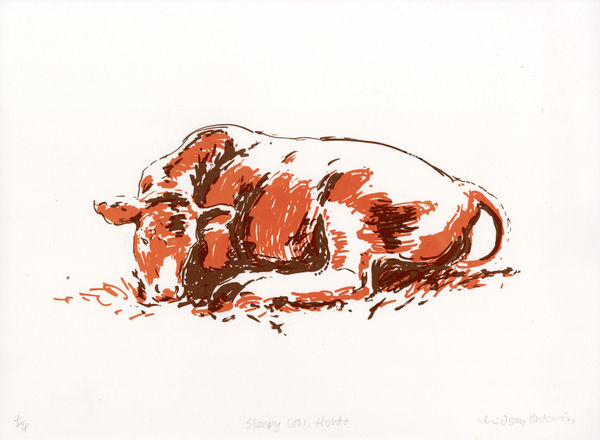 Lindsay Hutchison, Sleepy Cow, Hunto, 2023