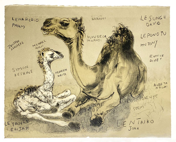 Desert Transport- Bigfoot Drink, Low Carbon