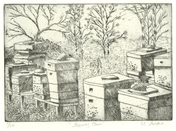 Val Leckie, Spring Bees, 2024