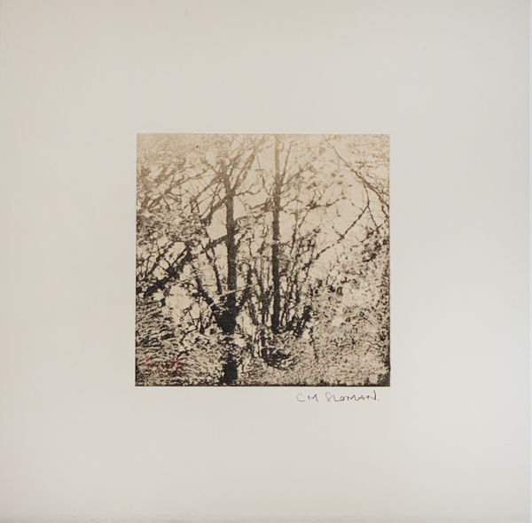 Riverside Journal 2:25