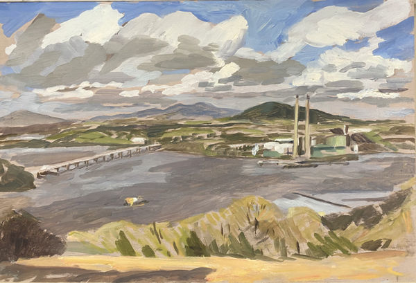 Sinead Lucey, Cheekpoint from Minane Hill, May