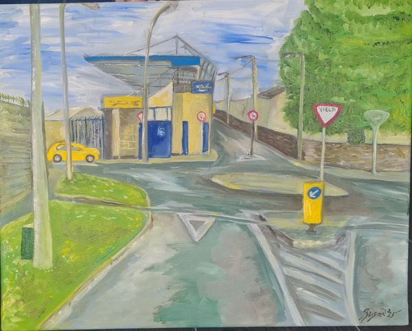 Susan O'Keeffe, Pilgrimage to Walsh Park