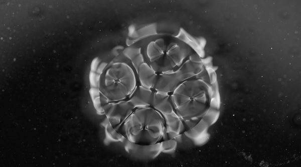 Bildschirmfoto 2026 01 07 Um 16 28 46