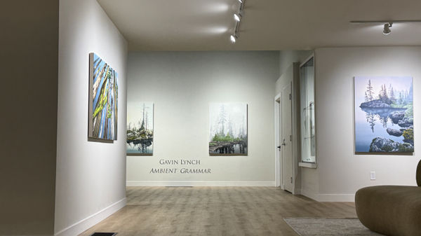 Lynch Install20215 1