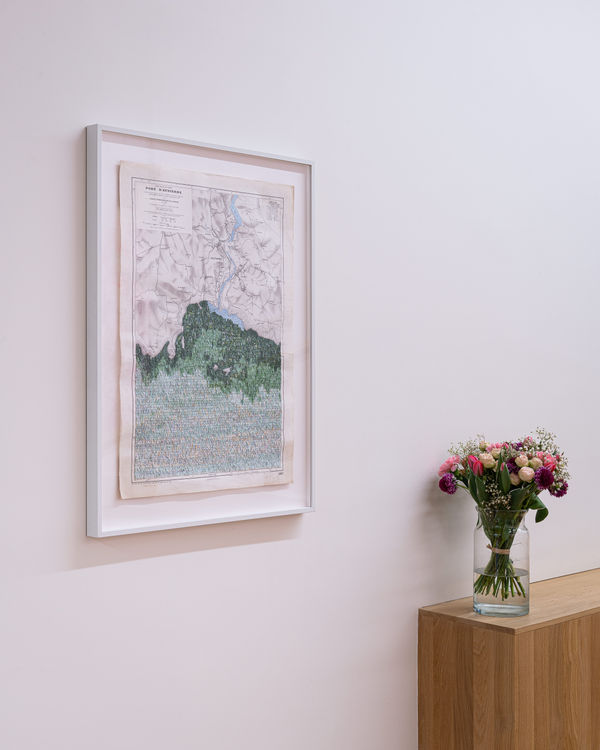 Nik 8502 Hd Photo Gregory Copitet