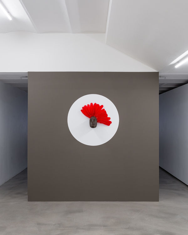 Nik 5337 Web Photo Gregory Copitet