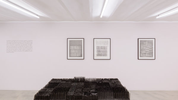 Nkn 0957 Web Photo Gregory Copitet