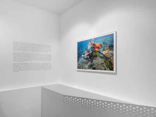 Fjsr8815 Hd Photo Gregory Copitet