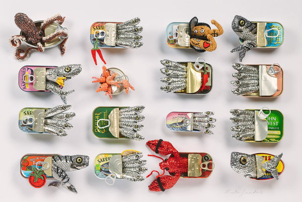 Tins of Fins & Friends