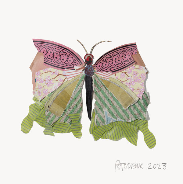 Peter Clark, Fancy Flutter 6
