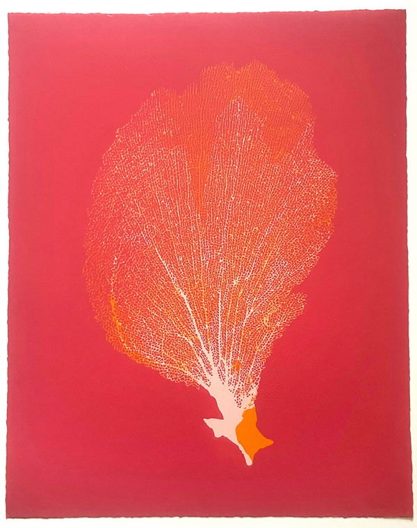 Jo de Pear, Sea Fan