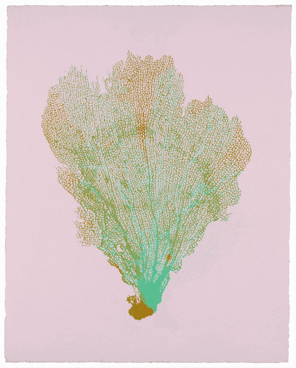 Jo de Pear, Sea Fan