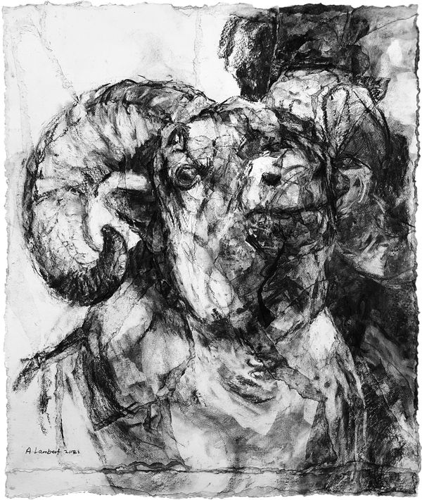 Alison Lambert, 'Ram's Head', charcoal and pastel on paper, 73 x 61 cm, 2021