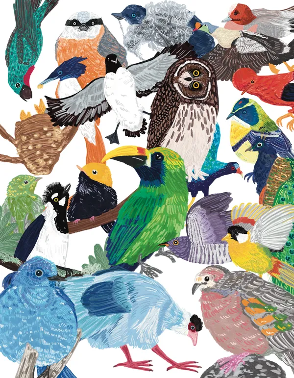 Birds of a Feather, Sound Together