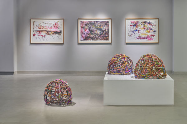 Layered Contradictions Installation Shot 8