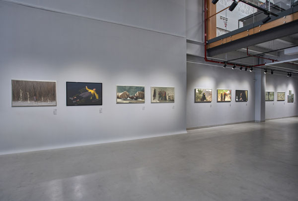 'نجوم الغانم تروي حكايات مسيرتها ومحطاتها 'خارج الإطار