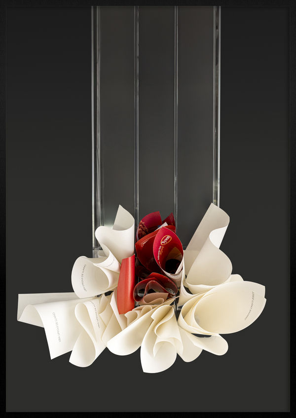 Jairo Llano - Any Questions?, 2023