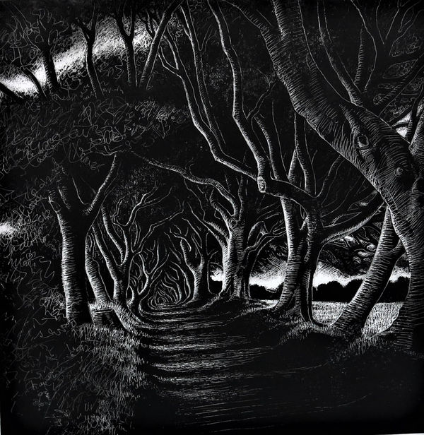 Sue Whitmore THE DARK HEDGES, CO. ANTRIM III Etching 72 x 72cm £500 (framed) £375 (unframed)
