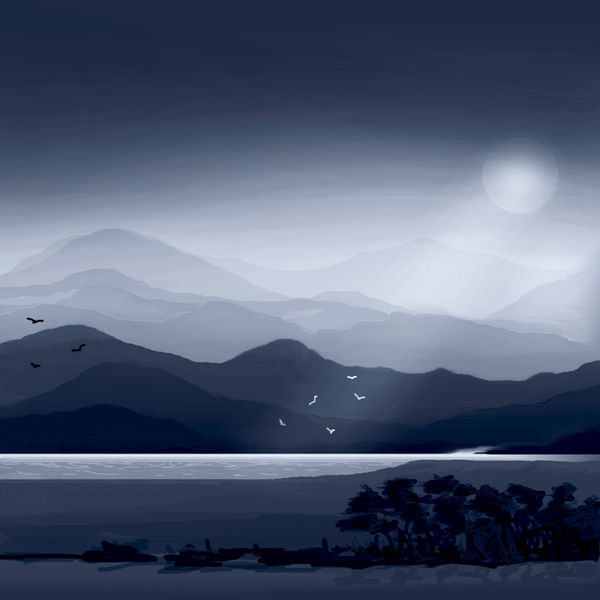 Angela Brookes NIGHT FLIGHT Photopolymer Gravure Edition 20 of 50 40 x 40cm £210 (framed) £160 (unframed)