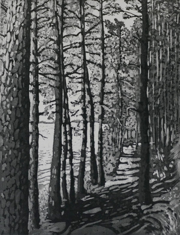 Lucy Ward SUMMER LIGHT Aquatint Edition 2 of 25 34 x 29.5cm £190 (framed) £130 (unframed)