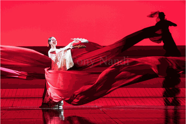 Theatrical Dance Photographs photography by Tony Nandi at contemporary art gallery Linden Hall Studio in Deal Kent Southeast Kent England London UK