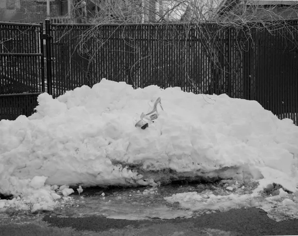 Paulina's Day Off, 2025